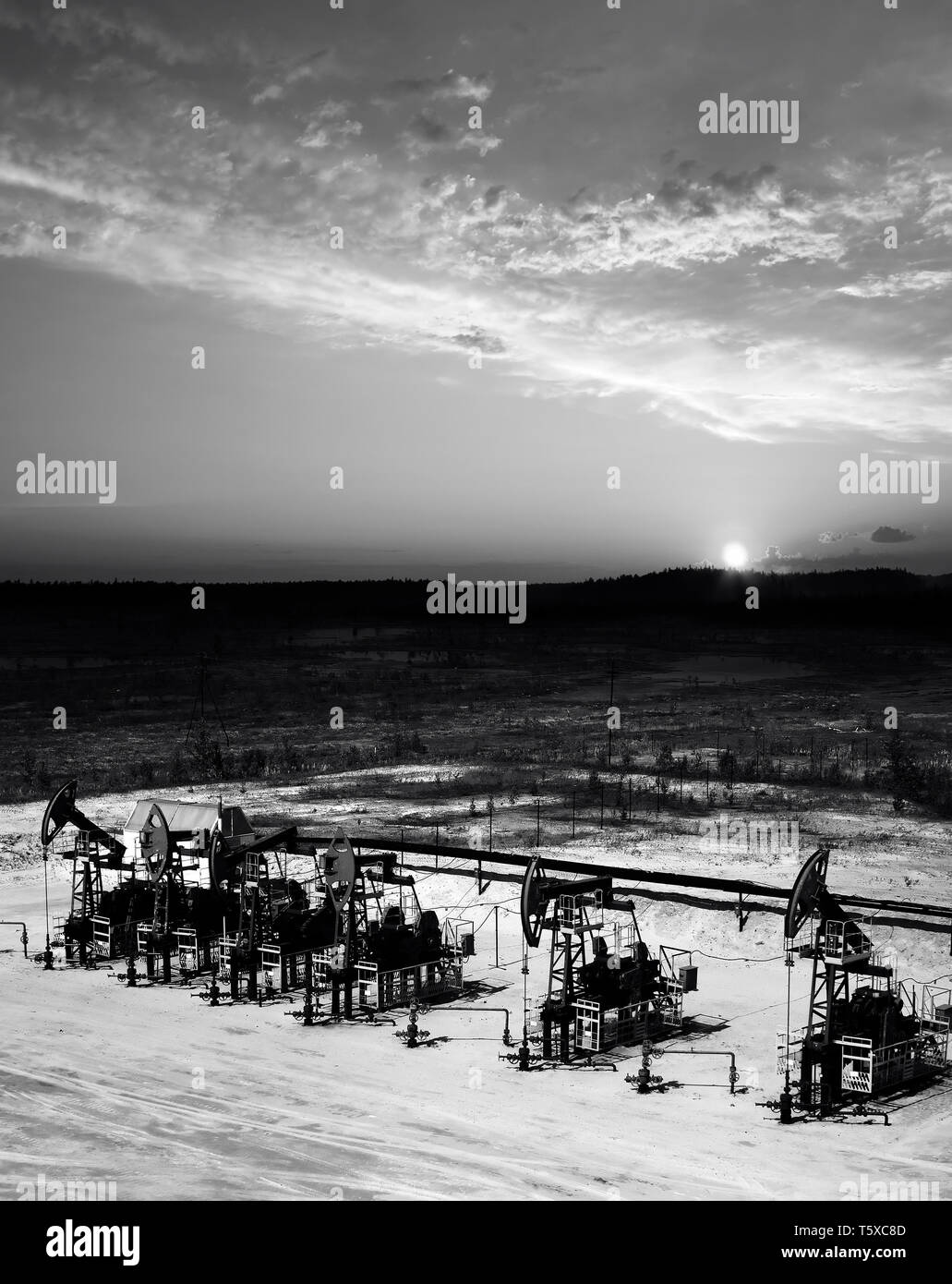 Bel tramonto su olio campo di estrazione in Siberia occidentale. La Russia nel settore petrolifero e del gas naturale. Business e la natura. Nero e bianco foto Foto Stock