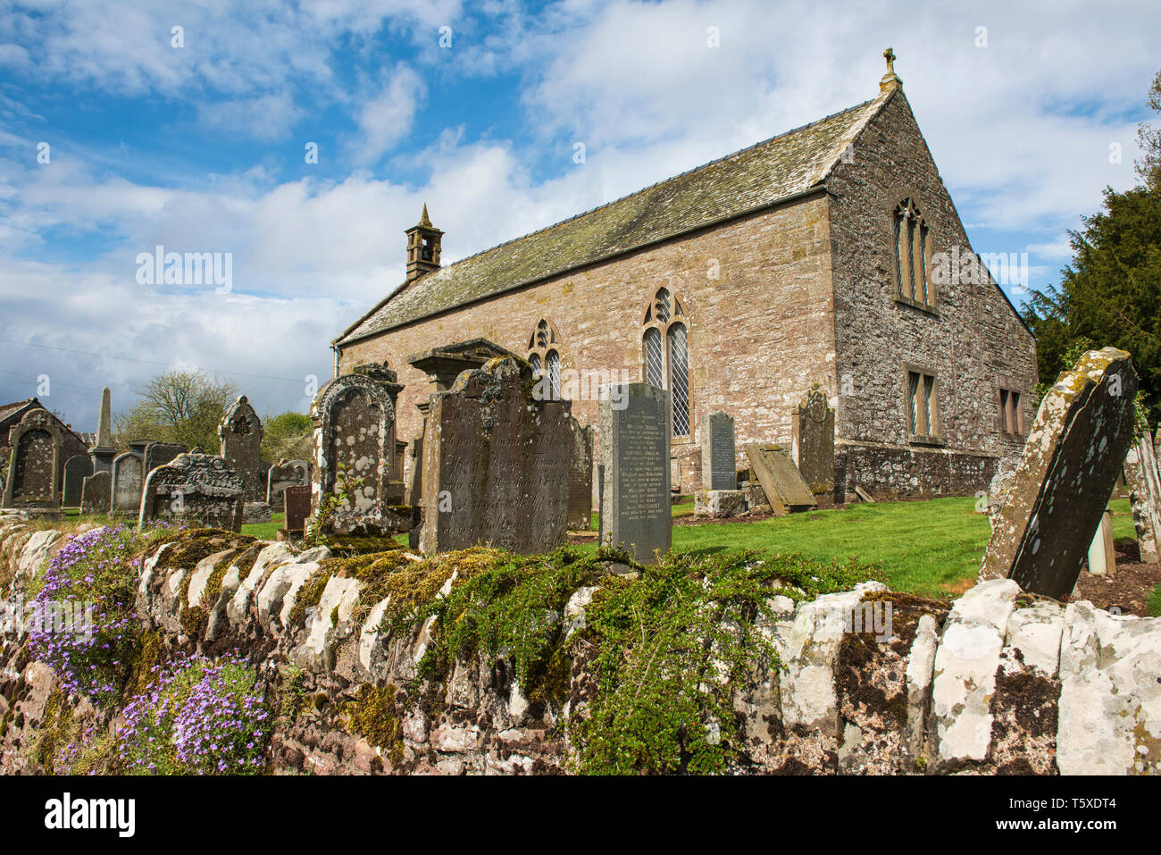 Un ottavo secolo Pictish lastra trasversale si trova a Chiesa Aberlemno, Angus, Scozia. Foto Stock