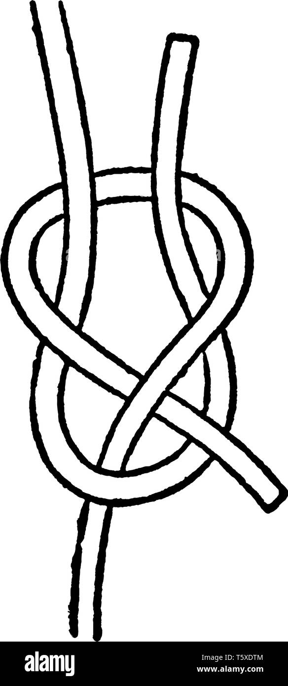 Piegare il foglio è una curva che è un nodo che unisce due corde insieme, vintage disegno della linea di incisione o illustrazione. Illustrazione Vettoriale