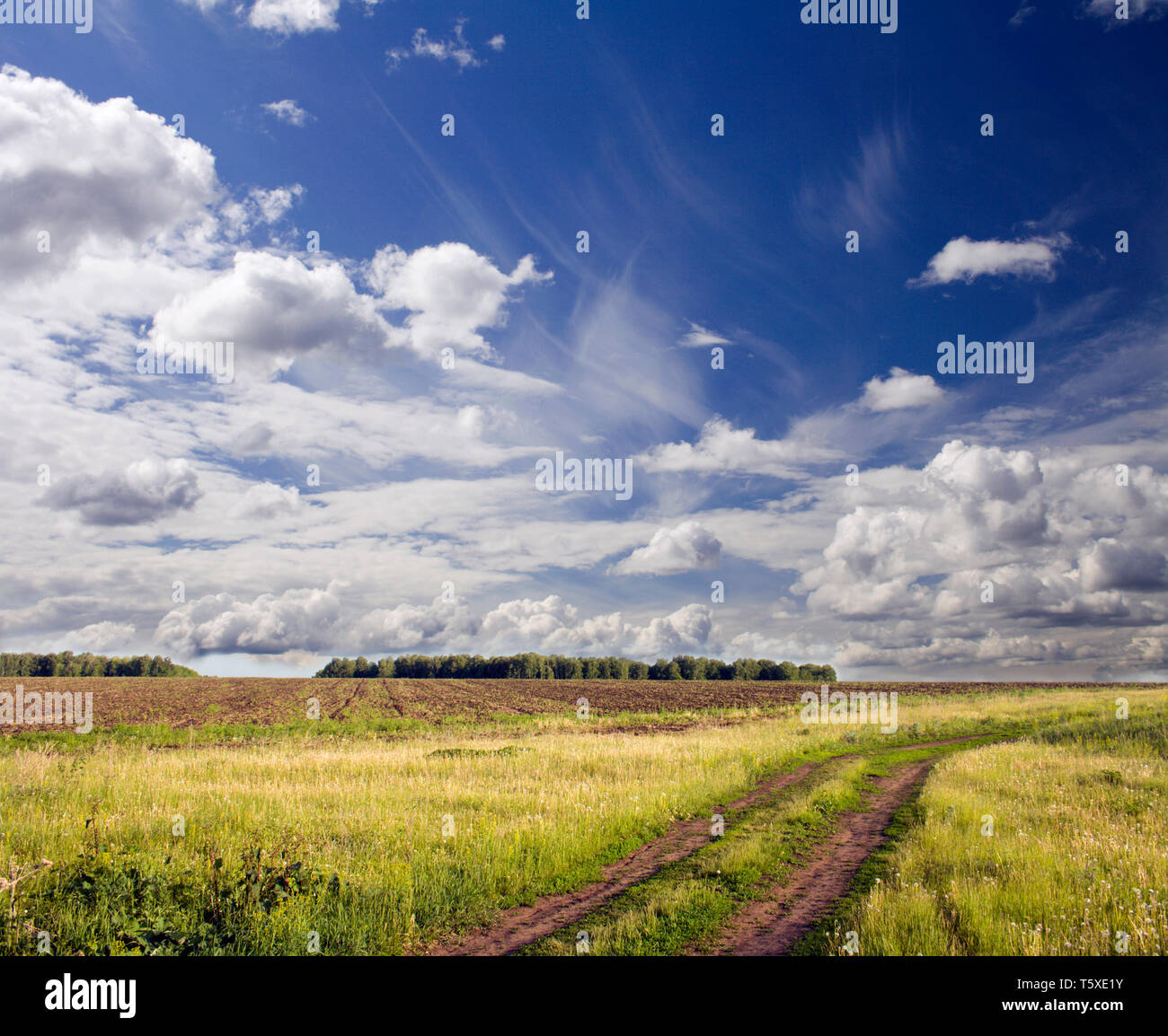 Bella estate paesaggio. Il cielo blu con nuvole bianche sopra corsia rurale Foto Stock