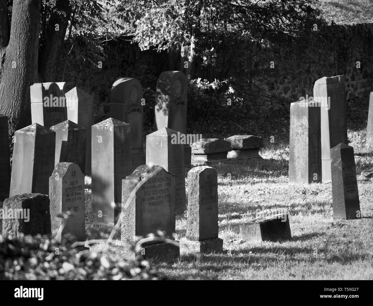 Gli oggetti contrassegnati per la rimozione definitiva su un vecchio cimitero ebraico Foto Stock