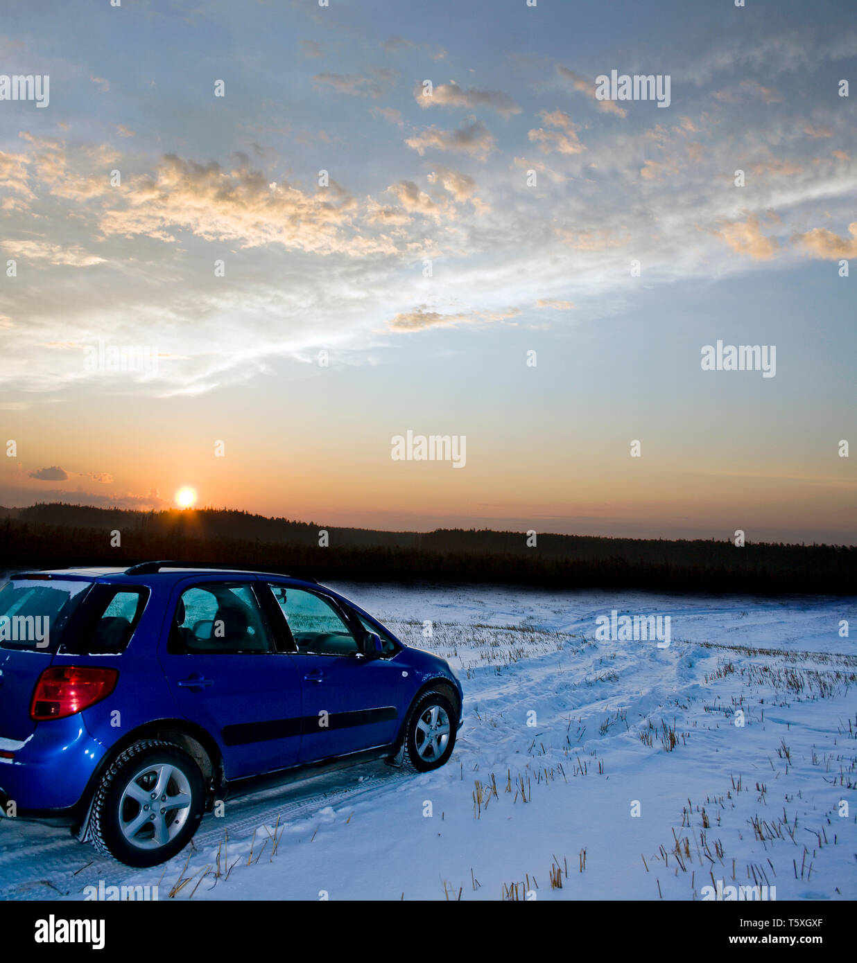 Auto sul campo congelati. Viaggi invernali Foto Stock