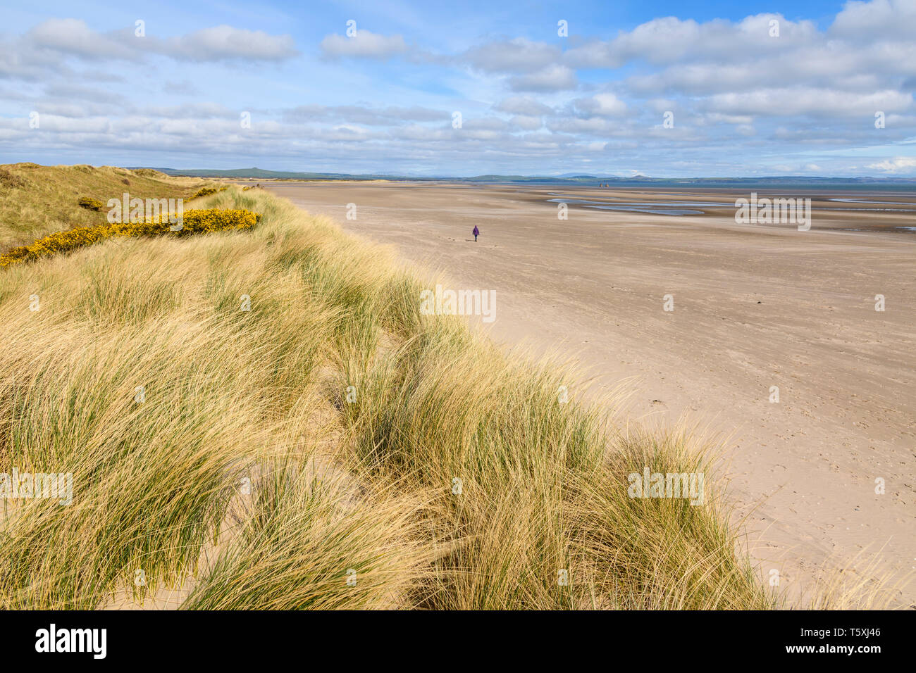 Le dune di sabbia e spiaggia a Sandhead Bay, la Rhins, Dumfries & Galloway, Scozia Foto Stock
