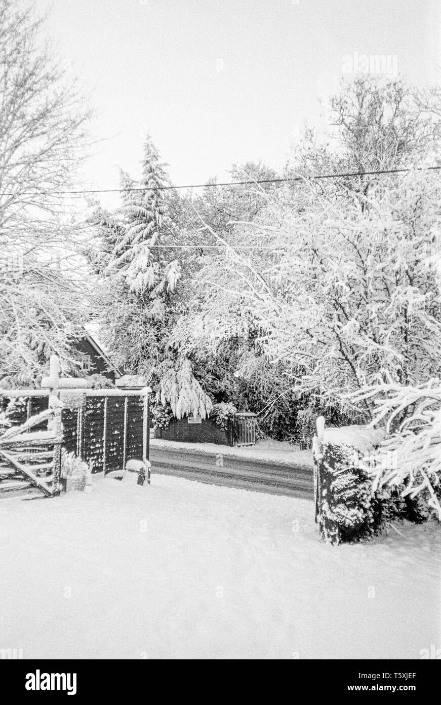 Lymington fondo stradale coperto di neve , Medstead, Hampshire, Inghilterra, Regno Unito. Foto Stock