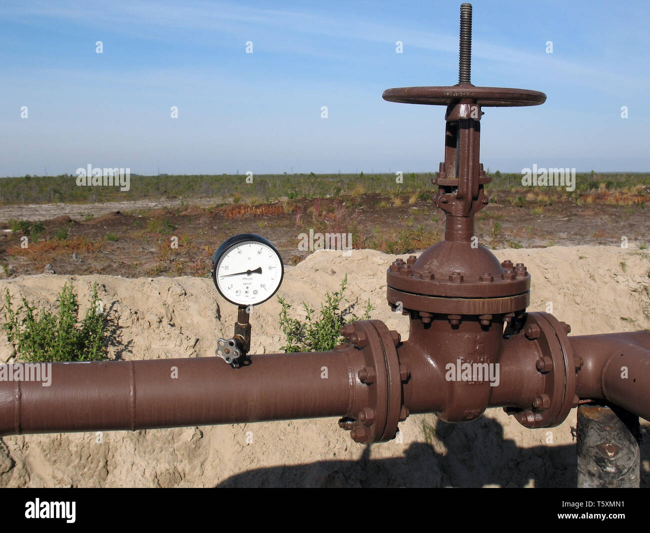 Vite di olio su una pipeline. Foto Stock