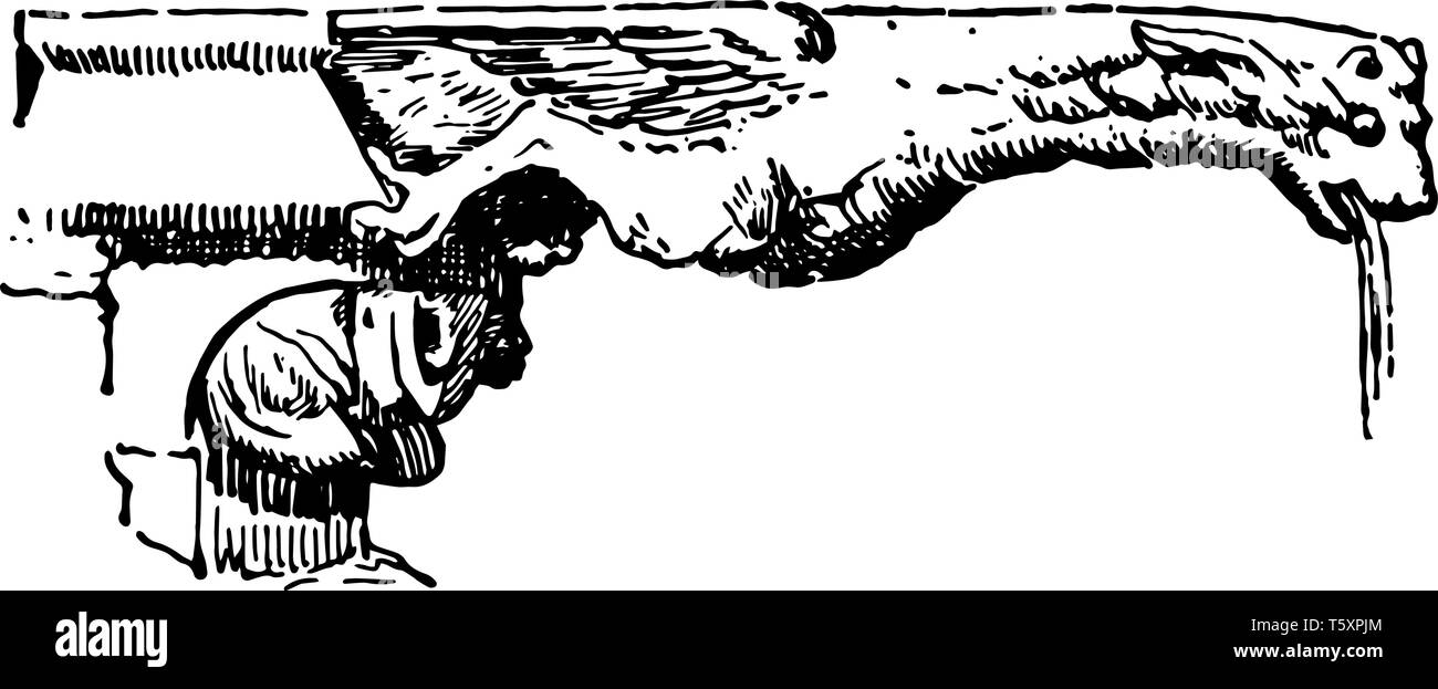 Parigi Gargoyle di solito sono scolpite in forme differenti, gorgoglio, suono di acqua, vintage disegno della linea di incisione o illustrazione. Illustrazione Vettoriale