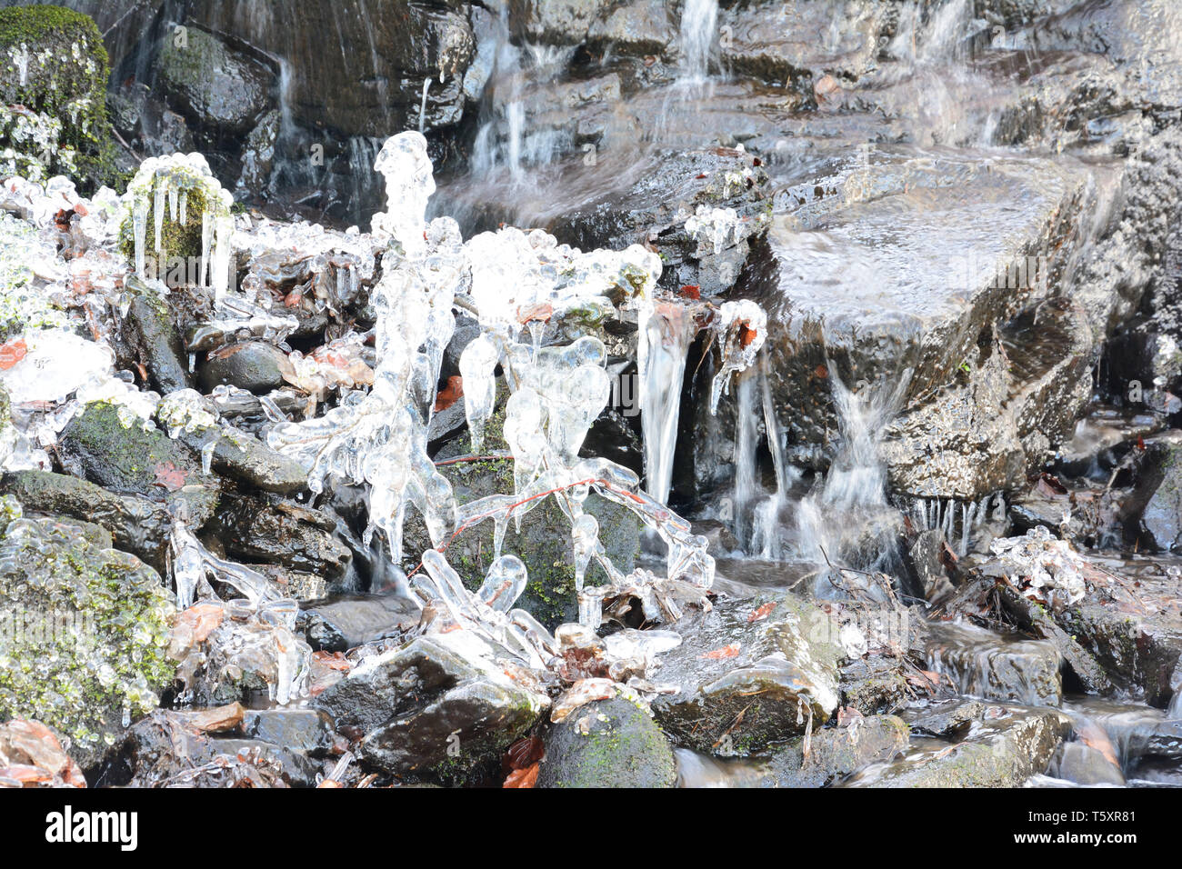 Scene di neve Foto Stock