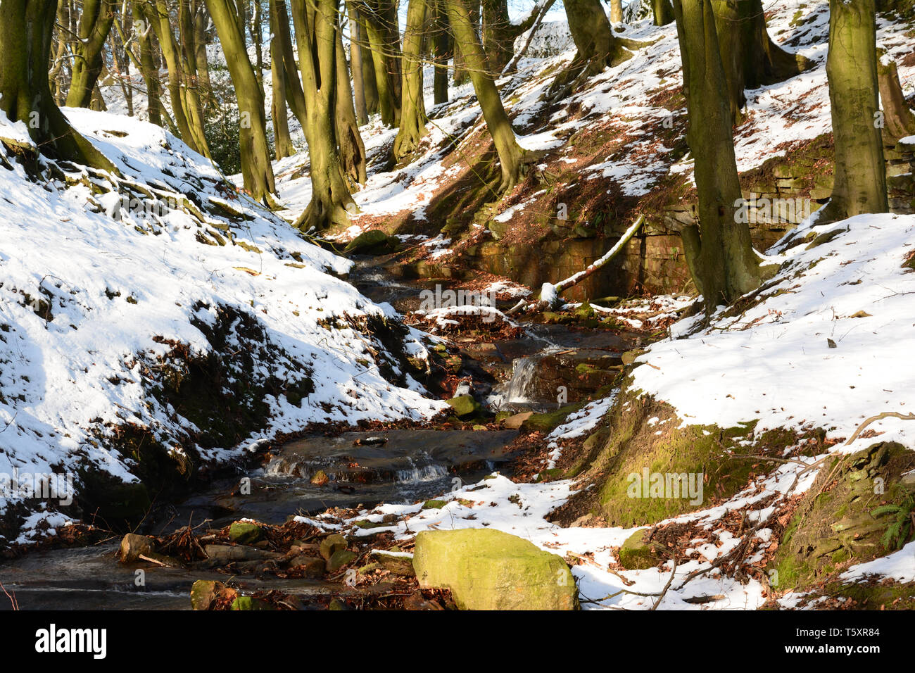 Scene di neve Foto Stock