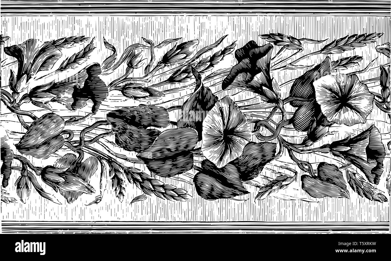 Nastro di seta ha una configurazione di ripetizione di fiori e di frumento, la sua società di produzione da India, vintage disegno della linea di incisione o illustrazione. Illustrazione Vettoriale