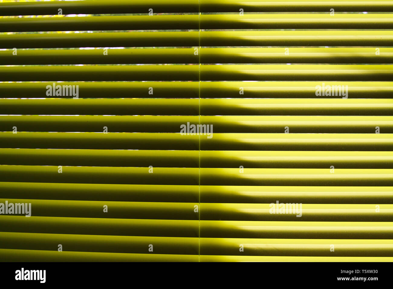 Giallo lamelle della tenda verticale brilla di luce solare naturale Foto Stock