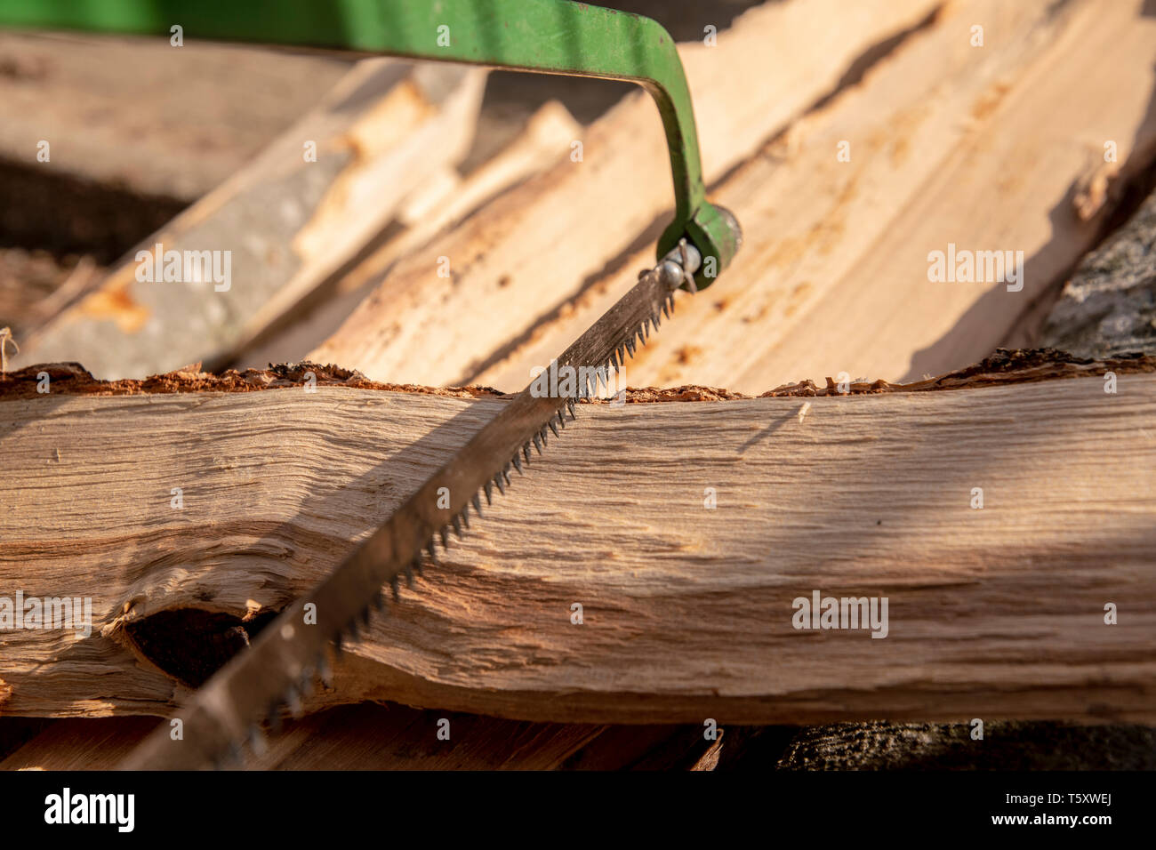 Con una mano sola sega da legno con dentatura grossolana seghe di un tronco di legno Foto Stock