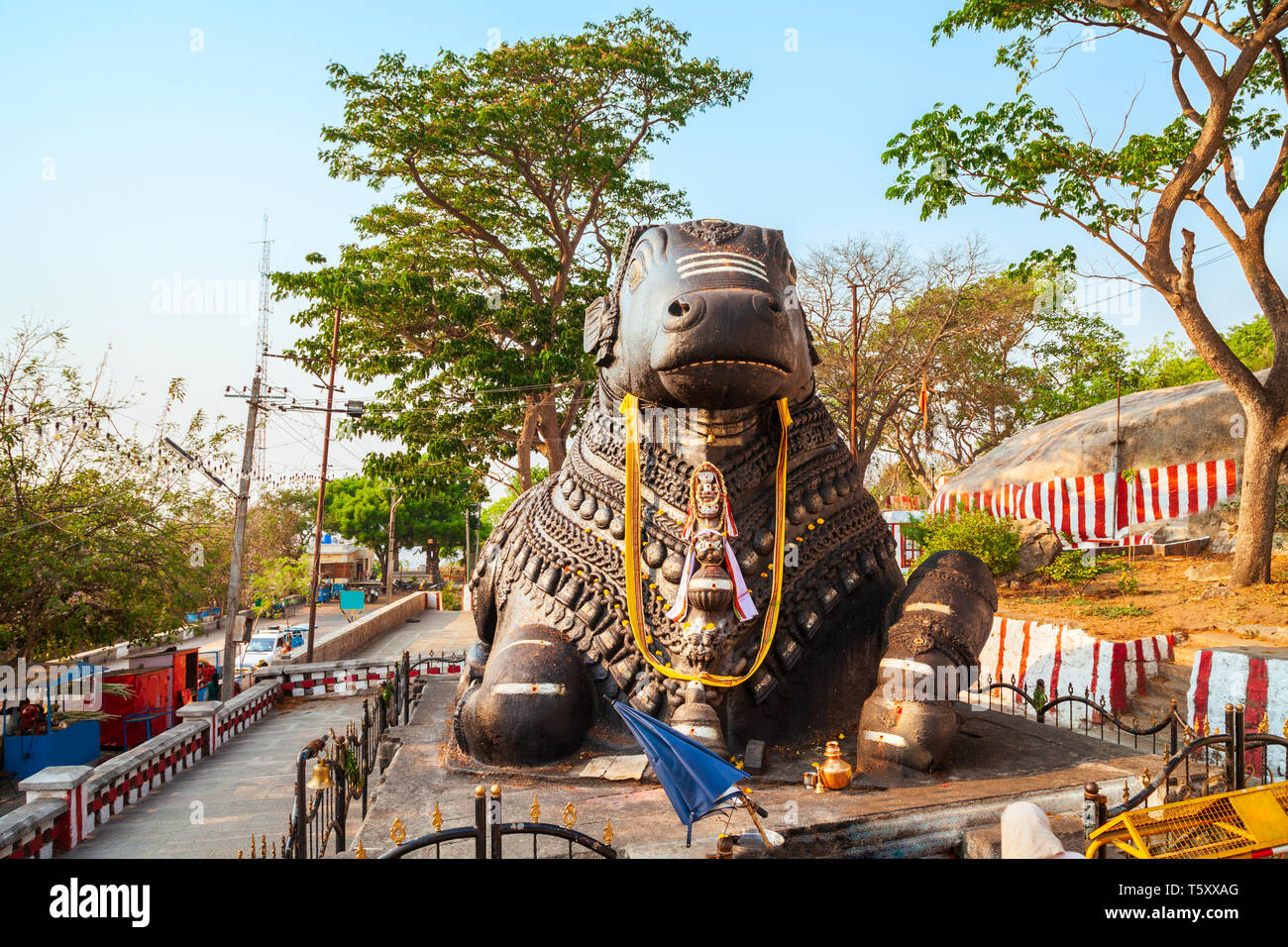 Shri Nandi monumento è un santo indù bull statua situata sulla parte superiore del Chamundi Hills vicino a Mysore in India Foto Stock