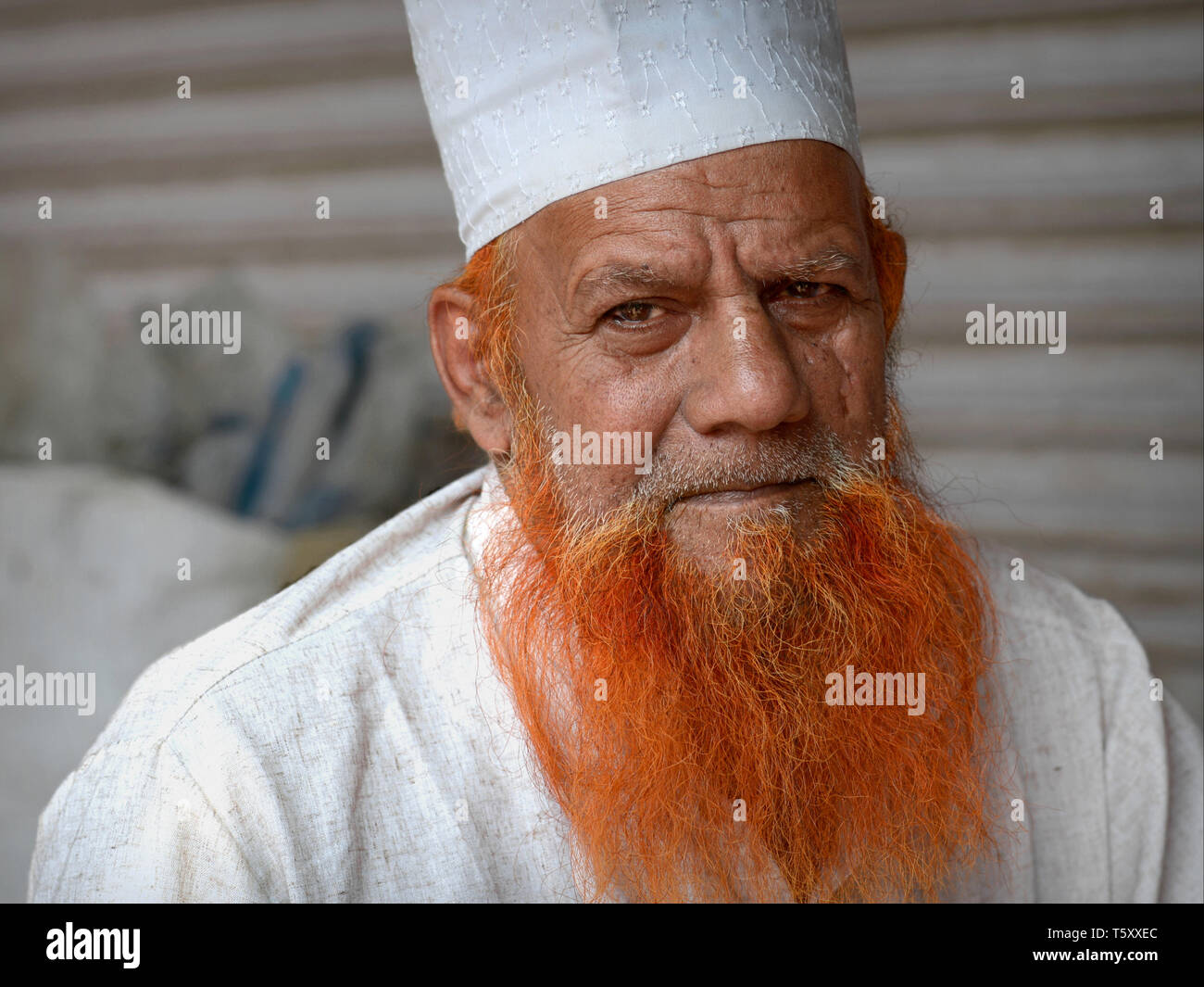 Anziani indiano musulmano di Rajasthani taylor con henna-tinto islamica e barba bianca preghiera islamica il cappuccio (taqiyah) pone per la fotocamera. Foto Stock