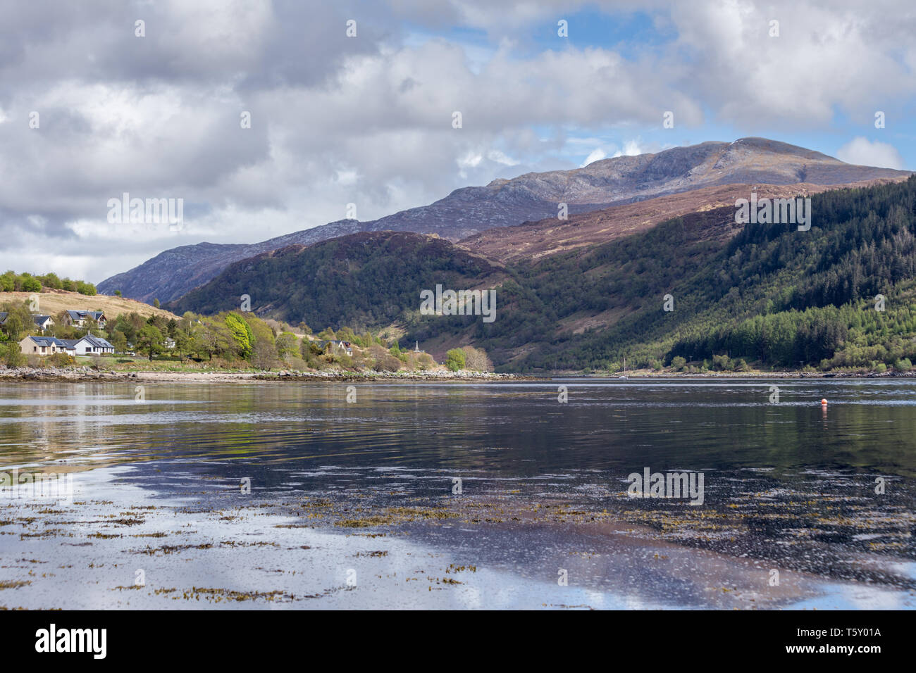 Guardando sul Loch Sunart vicino al Kilcamb Lodge Hotel vicino Strontian sulla penisola a Ardnamurchan, Lochaber, Highland, Scotland, Regno Unito Foto Stock