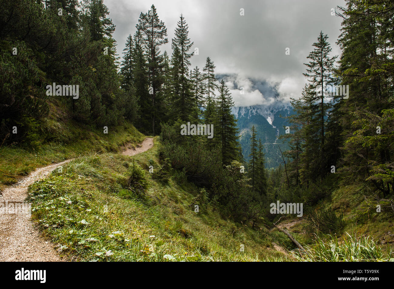 Single trail in Austria Wettersteingebirge catturati durante il cambiamento delle condizioni meteorologiche con alpine scena di montagna coperto di nuvole e alberi Foto Stock