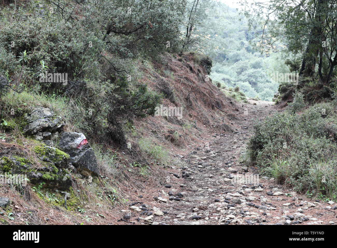 Una tipica via sassosa e rosso/bianco modo marcatura sulla Via Licia, Turchia Foto Stock