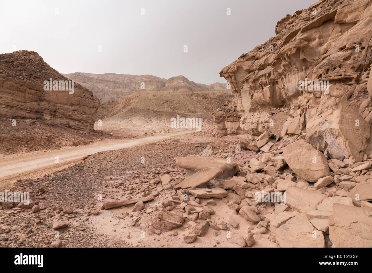 Strada in timna parco nazionale nel sud di Israele vicino a Eilat Foto Stock