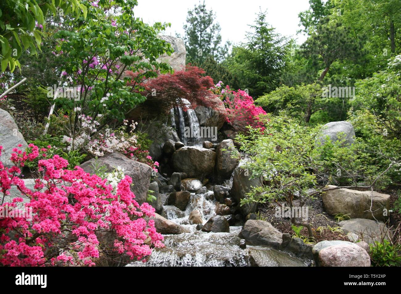 Frederik Meijer Gardens, Grand Rapids, Michigan Foto Stock