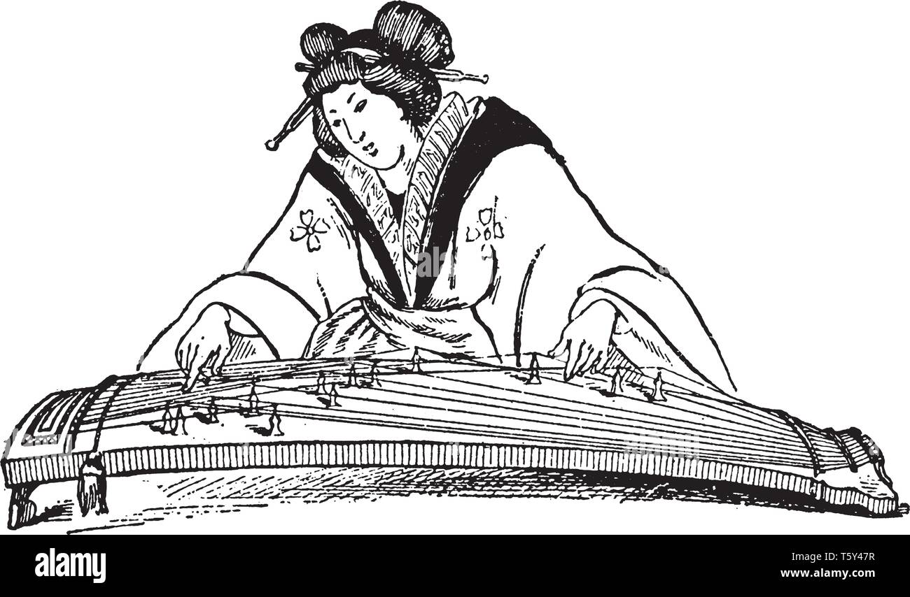 Koto hanno 13 stringhe che vengono infilate attraverso tautly 13 ponti mobili lungo la lunghezza dello strumento, vintage disegno della linea o incisione illustrati Illustrazione Vettoriale