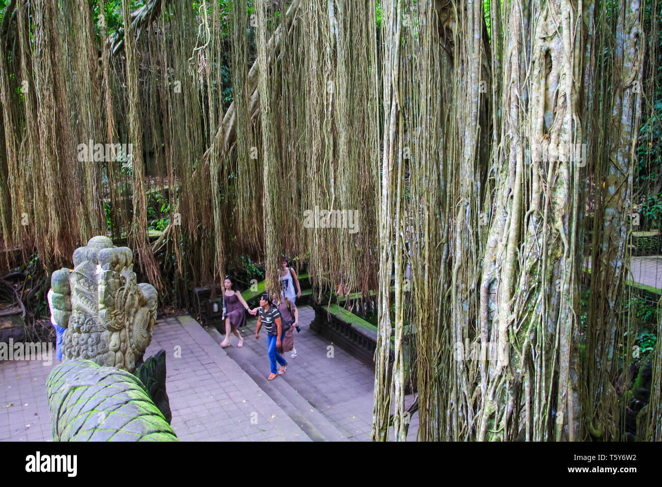 UBUD, BALI - 22 febbraio 2011: Monkey Forest è il santuario di stile Balinese lunga coda di scimmia nella città di Ubud, isola di Bali in Indonesia Foto Stock