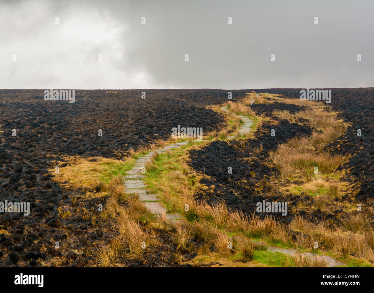 Un sentiero attraversa un paesaggio scena che era una volta wild heather ed è ora di cenere dopo gli incendi sparsi in tutta la terra. Foto Stock