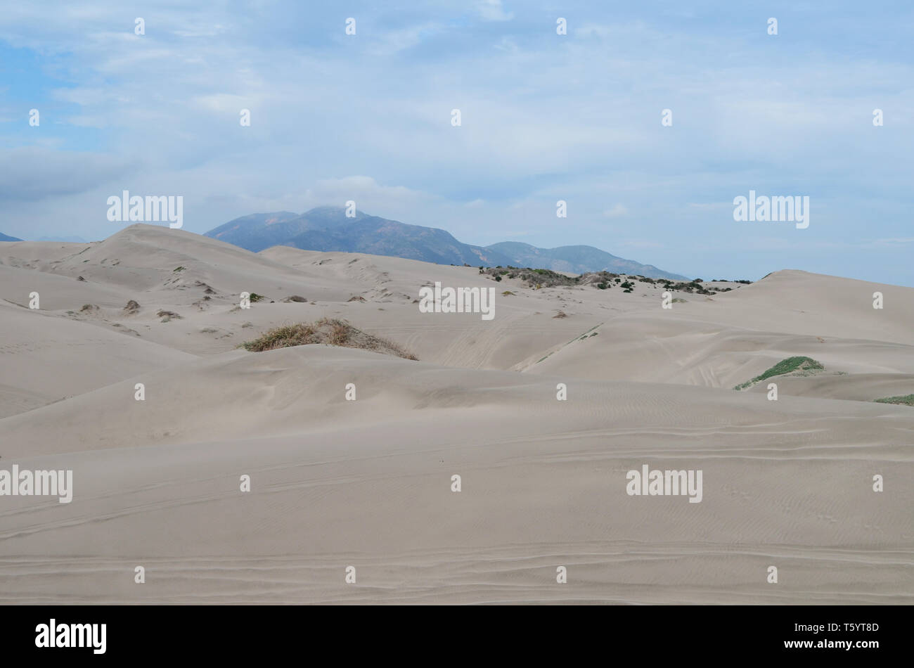 Dunas de Ritoque, un habitat unico nel Cile del Central Coast, attualmente minacciata da sviluppo costiero e la speculazione immobiliare Foto Stock