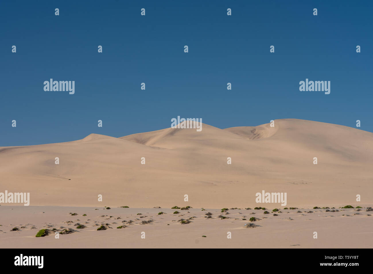 Dune marittime dalla strada vicino a Walvis Bay, Namibia Foto Stock