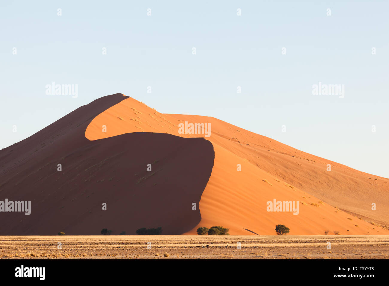 Vista di alte dune di sabbia a bordo del deserto Kalari, un lato in ombra che delinea la cresta di sabbia Foto Stock