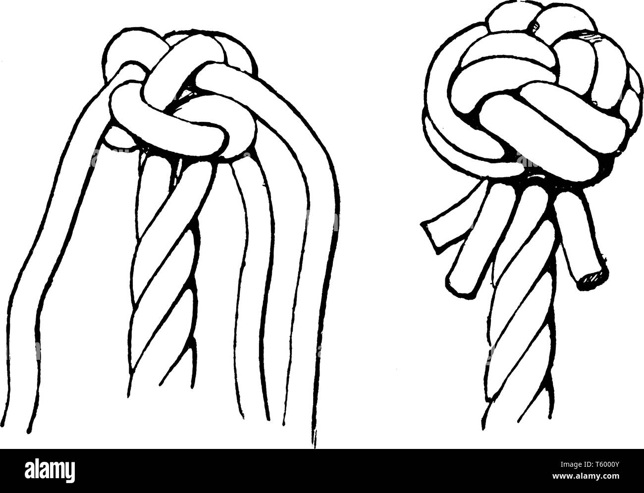 Manrope Nodo E Un Tipo Di Decorazione Del Pulsante Di Corda Vintage Disegno Della Linea Di Incisione O Illustrazione Immagine E Vettoriale Alamy