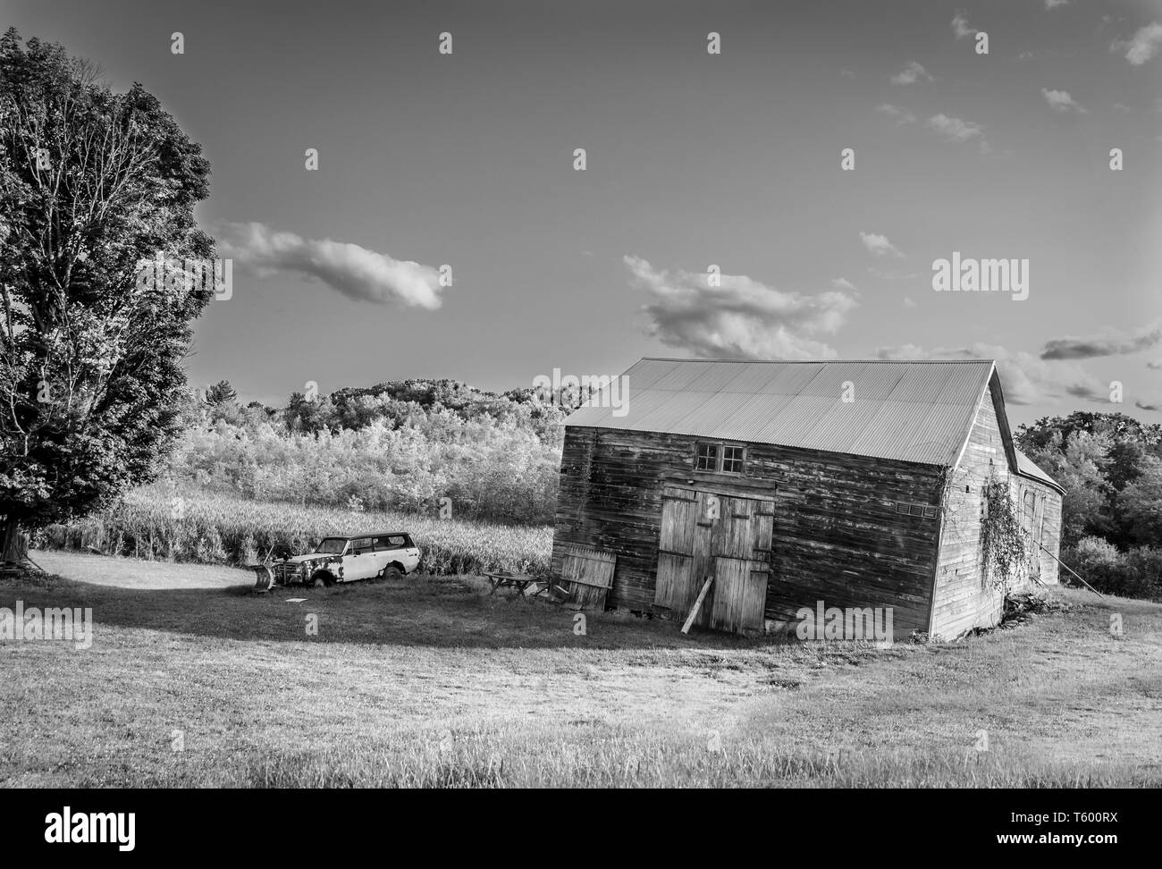 Abbandonato il carrello e il fienile in bianco e nero Foto Stock