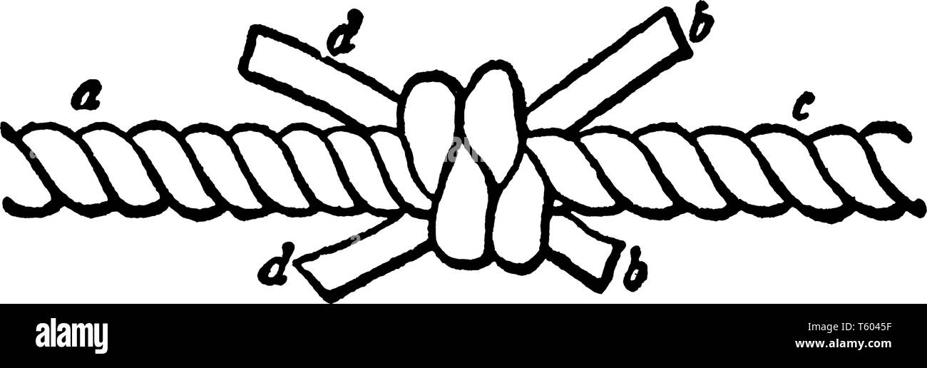 Sindone nodo è un multi-trefolo piegare nodo utilizzato per unire due estremità di cui la corda insieme, vintage disegno della linea di incisione o illustrazione. Illustrazione Vettoriale