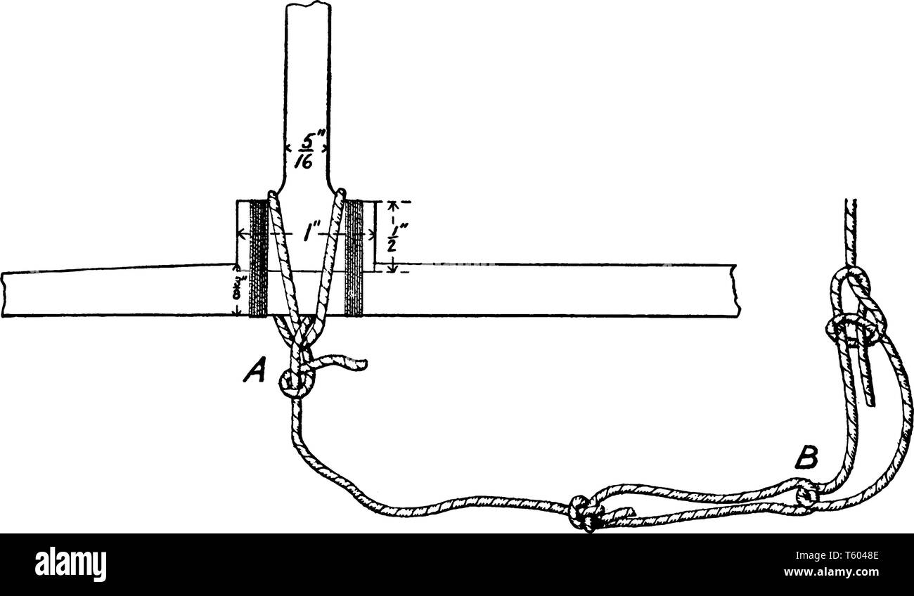 Questa immagine rappresenta il nodo briglia prima forma di una briglia, vintage disegno della linea di incisione o illustrazione. Illustrazione Vettoriale