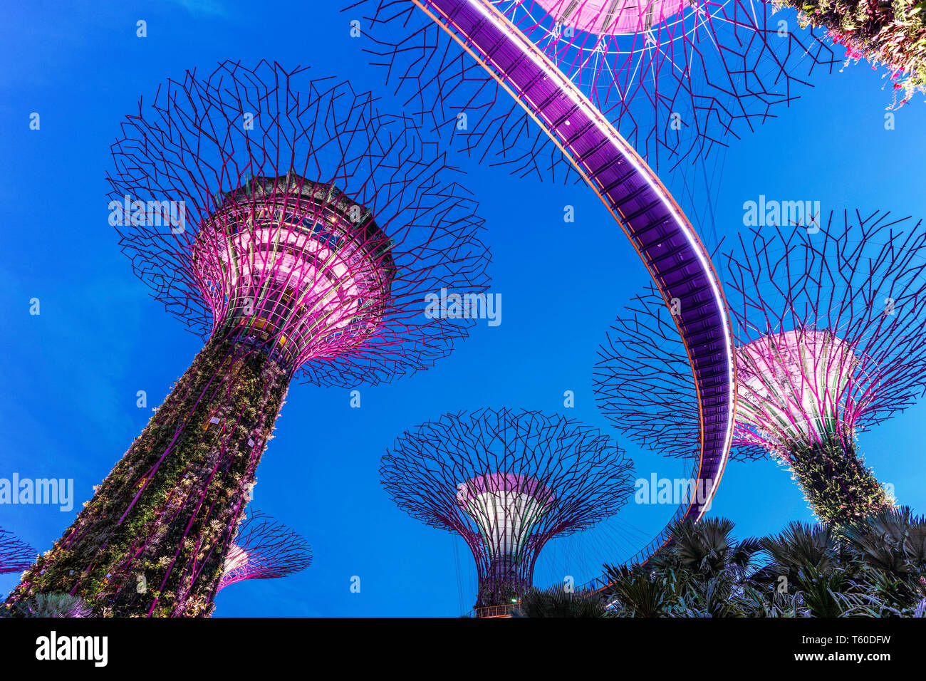 Il Super alberi in giardini dalla Baia di Singapore. Foto Stock