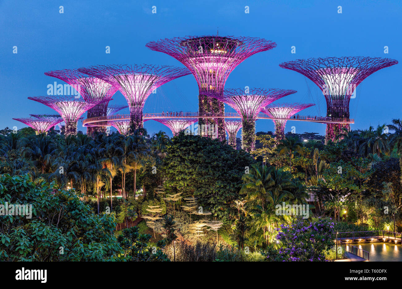 Il Super alberi in giardini dalla Baia di Singapore. Foto Stock