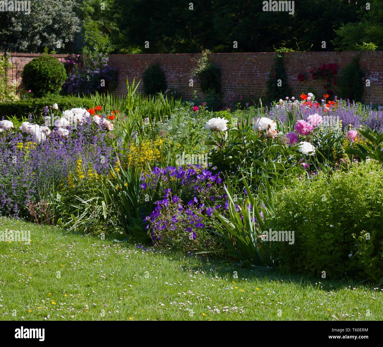 Cottage inglese giardino con prato in primo piano, rigogliose aiuole fiorite e parete in background con spazio copia - immagine Foto Stock