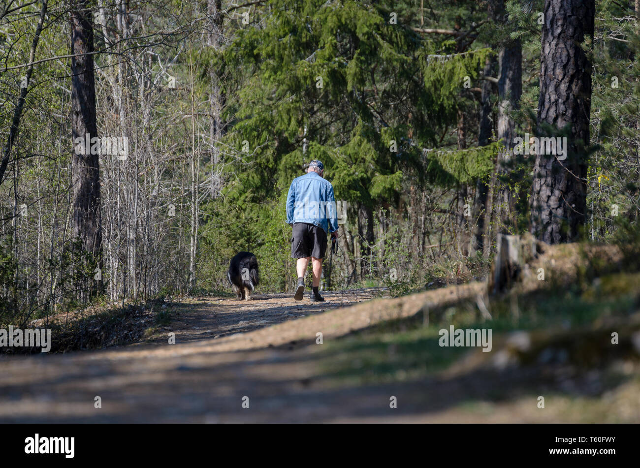 Una passeggiata nella foresta. Foto Stock