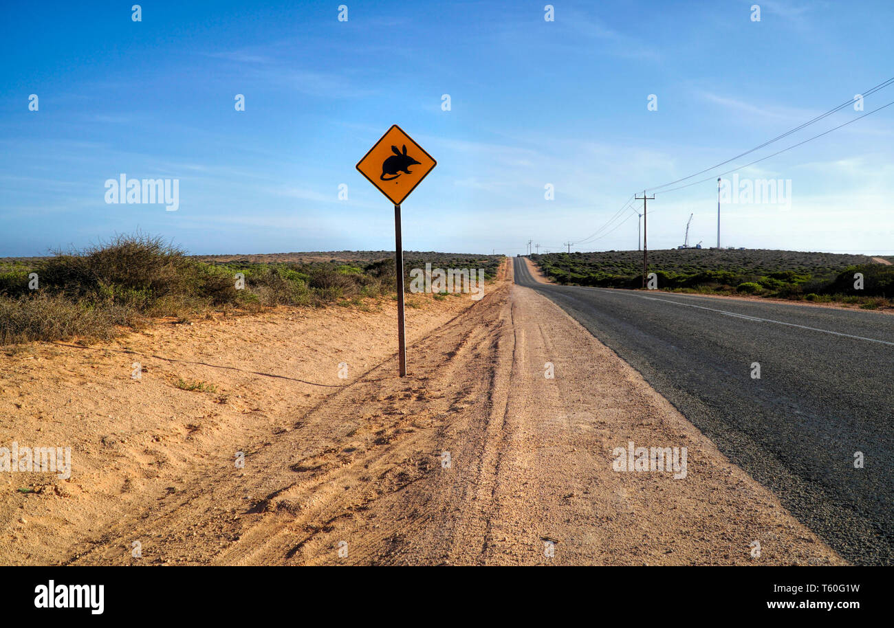 Segno Bilby sull'autostrada in Western Australia. Bilby sono deserto-abitazione marsupiale. Foto Stock