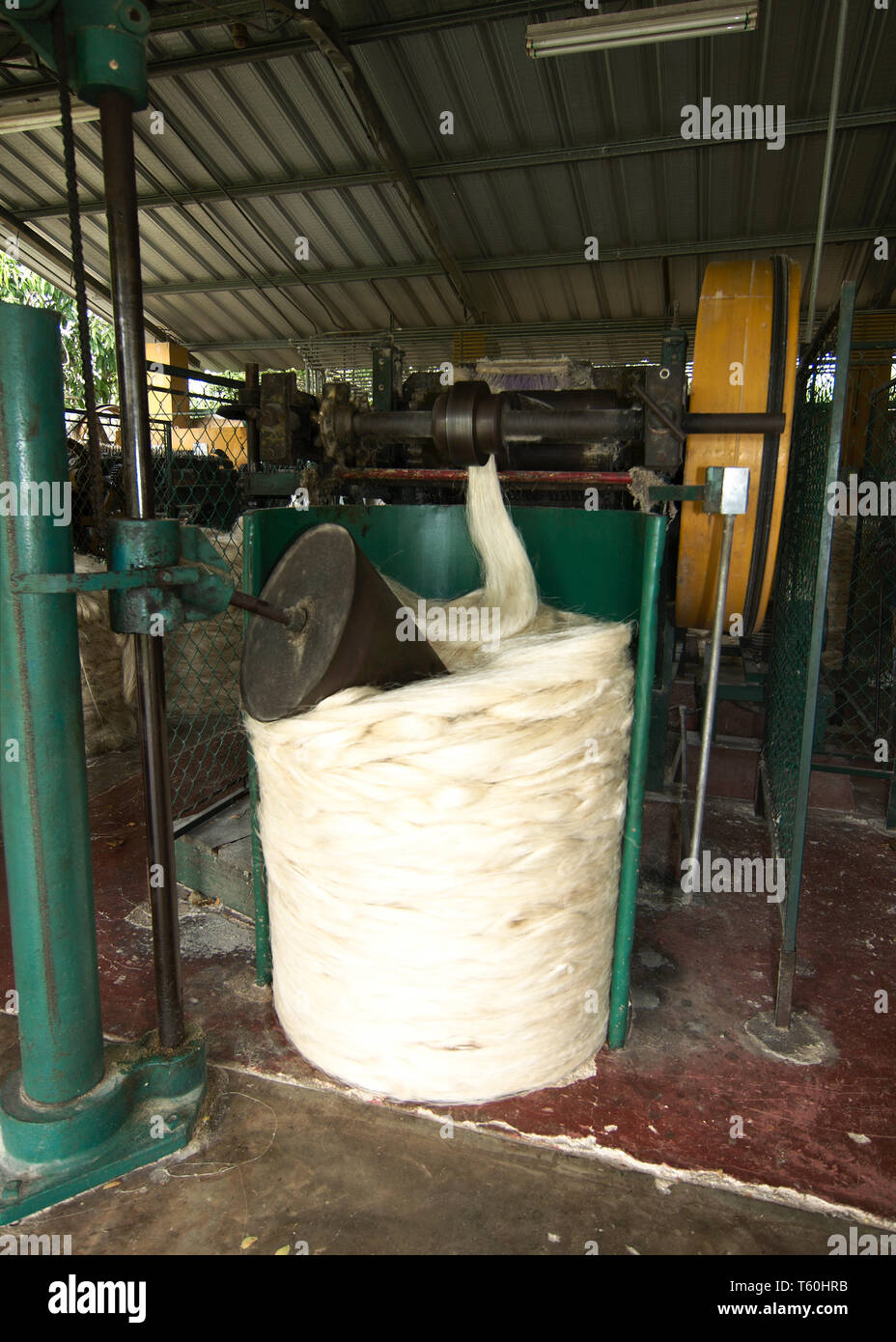 Tecoh, Yucatan, Messico - 2019: dimostrazione del tradizionale metodo di ottenimento di filo dall'henequen impianto (Agave fourcroydes). Foto Stock