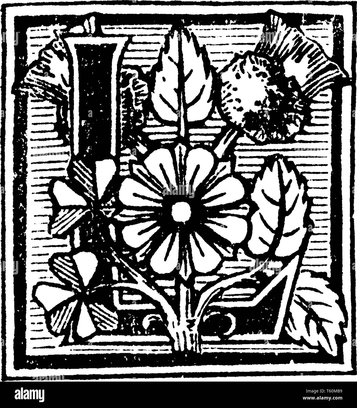 Una capitale decorativa lettera L con fiori e foglie, vintage disegno della linea di incisione o illustrazione Illustrazione Vettoriale