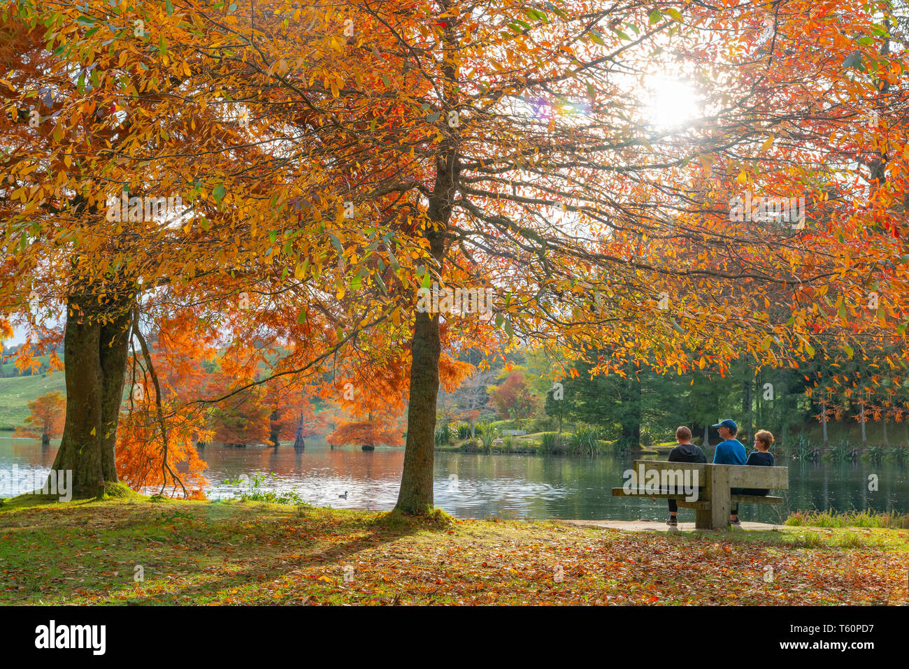 TAURANGA NUOVA ZELANDA - Aprile 27 2019; tre persone su una panchina nel parco nel tardo pomeriggio i colori autunnali sul lago in McLaren Falls Park in montagna Kaimai r Foto Stock