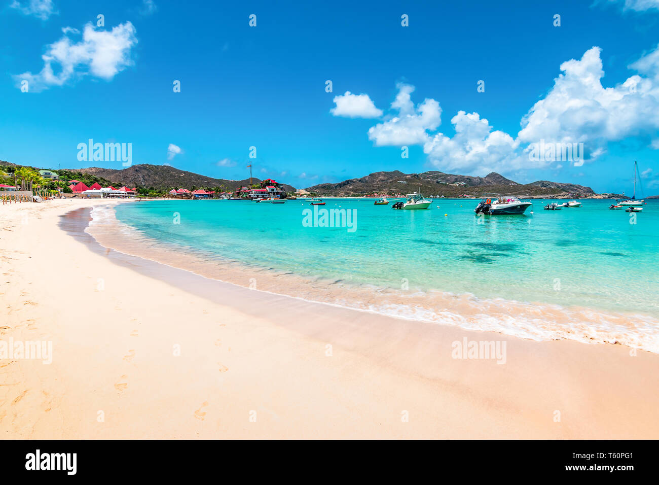 Bellissima spiaggia, St Barths, dei Caraibi Foto Stock