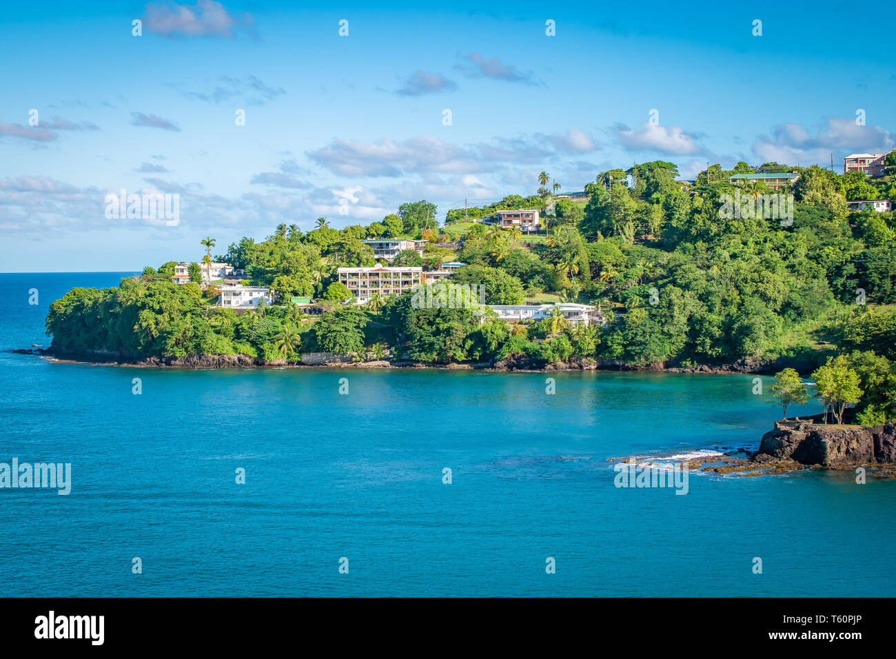 La splendida natura di Santa Lucia, dei Caraibi. Foto Stock