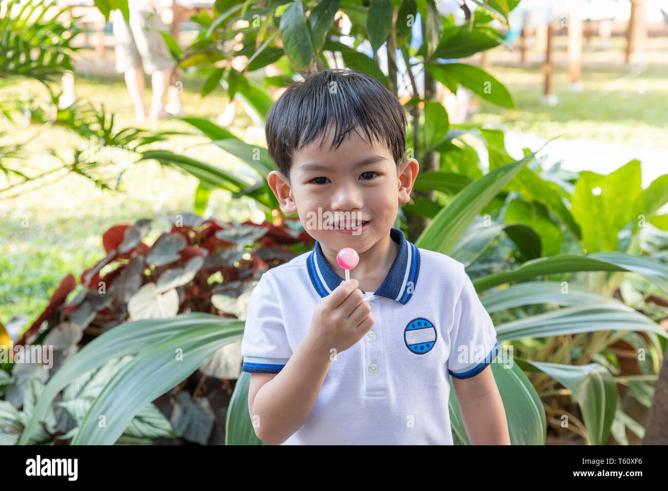 Close up giovane ragazzo asiatico di mangiare un lecca-lecca Foto Stock