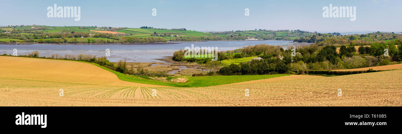 Vista panoramica del fiume Lynher estuario a bassa marea in Cornwall, Regno Unito nella primavera del 2019 Foto Stock