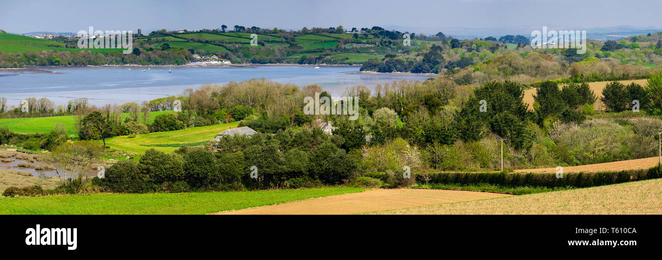 Vista panoramica del fiume Lynher estuario a bassa marea in Cornwall, Regno Unito nella primavera del 2019 Foto Stock