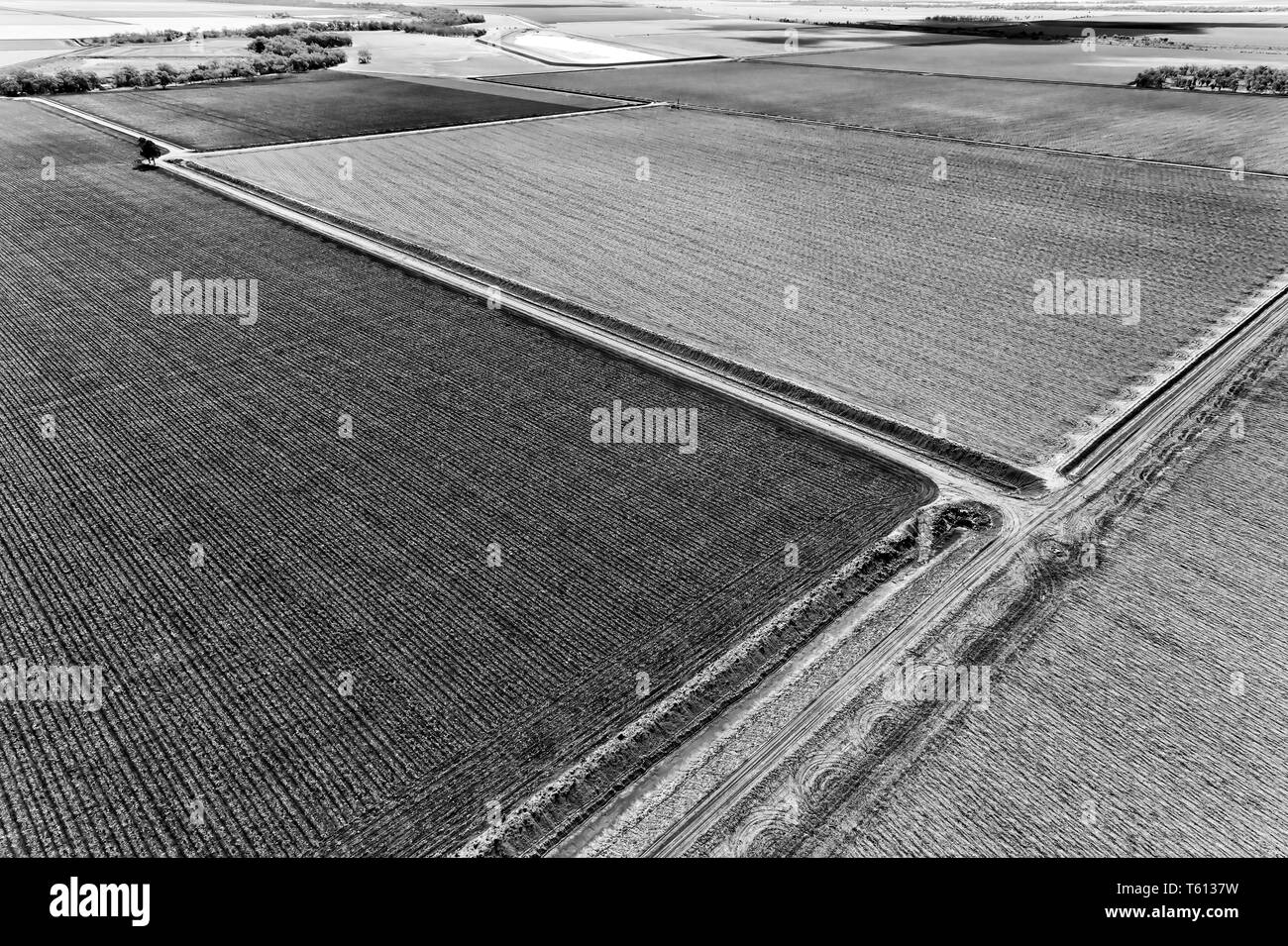 Patch del suolo nero sulle pianure intorno a Moree a Narrabri shire rurali del nord del NSW parte del bacino artesiano di Australia - una elevata vista aerea Foto Stock