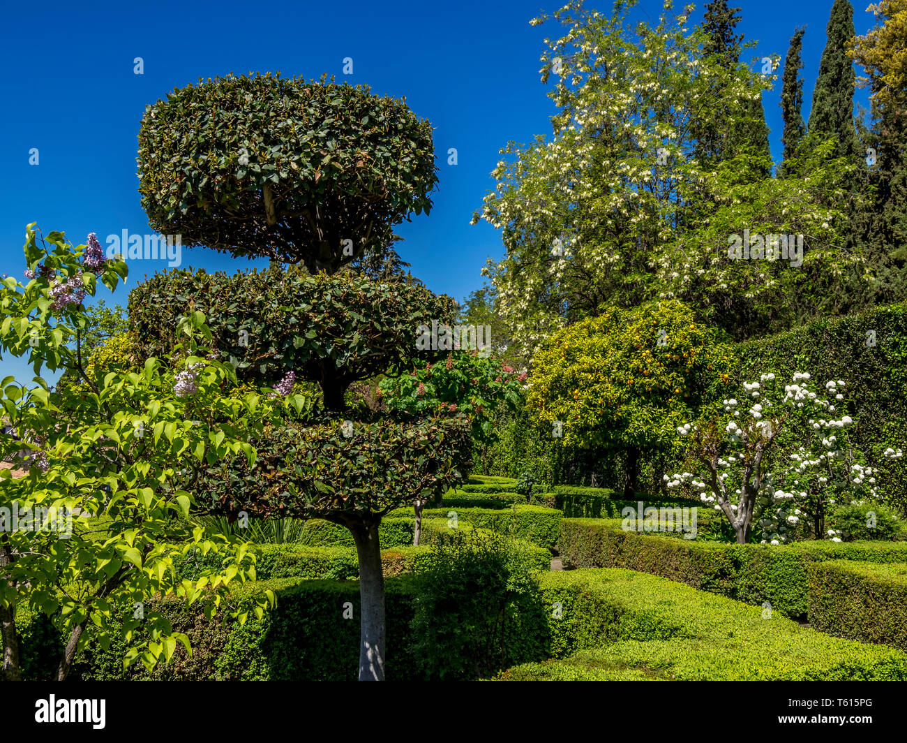 Giardino in Granada Foto Stock