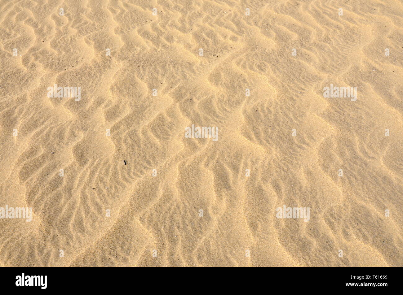 Windmade pattern e fluttuazioni nel deserto di sabbia Foto Stock