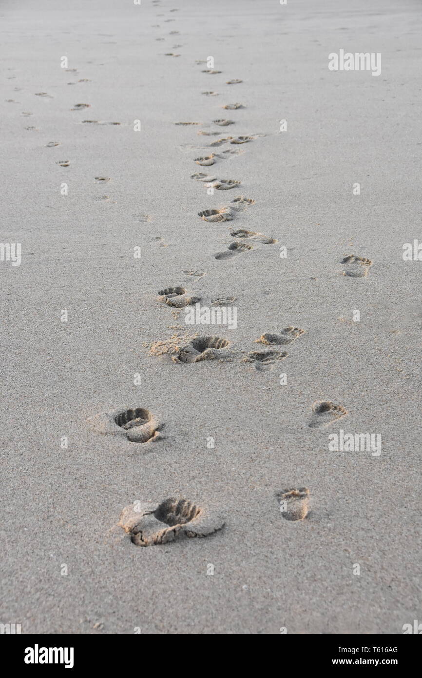 Orme di sabbia su una spiaggia tropicale Foto Stock