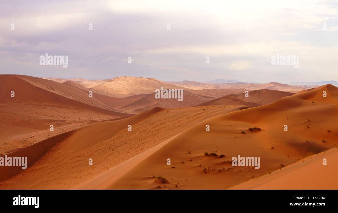"Big Daddy' escursione a Sossusvlei, Namibia Foto Stock